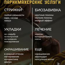 Золотая Зебра
