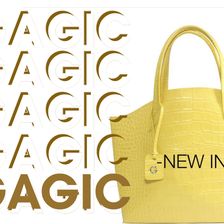 GAGIC