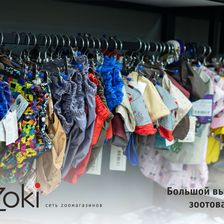Zoki