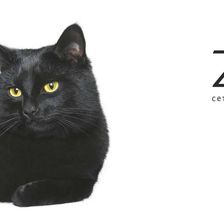 Zoki