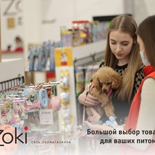 Zoki
