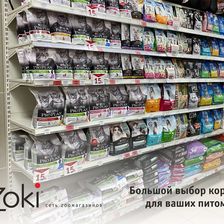 Zoki