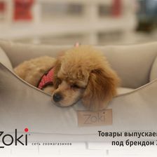 Zoki