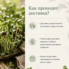 Проростки