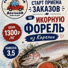 РЫБНАЯ ЛАВКА