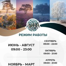 АННА | ЧЕБУРЕК В ПОЗЕ