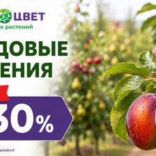 Первоцвет