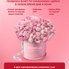 PIONFLO