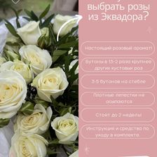 Цветочный бро