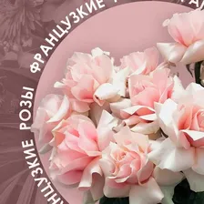 Нескучный Сад