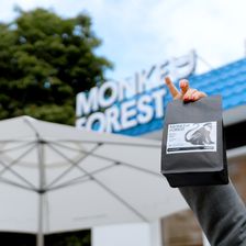 Monkey Forest | Манки Пипл