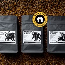 Monkey Forest | Манки Пипл