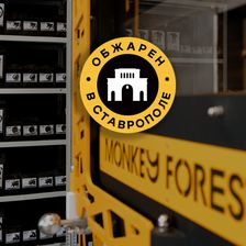 Monkey Forest | Манки Пипл