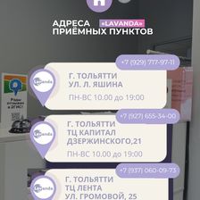 Лаванда