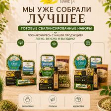 СОЛНЕЧНАЯ ПЛАНЕТА