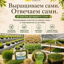 СОЛНЕЧНАЯ ПЛАНЕТА