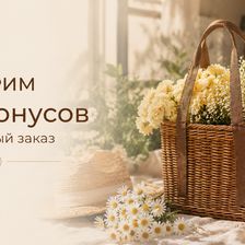 PLETЁNKA