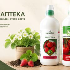 ЗЕЛЕНАЯ АПТЕКА