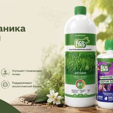 ЗЕЛЕНАЯ АПТЕКА