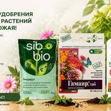 ЗЕЛЕНАЯ АПТЕКА