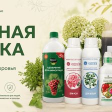 ЗЕЛЕНАЯ АПТЕКА