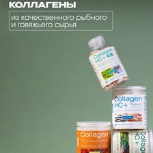 Health Code