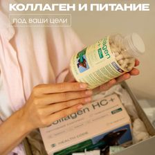 Health Code