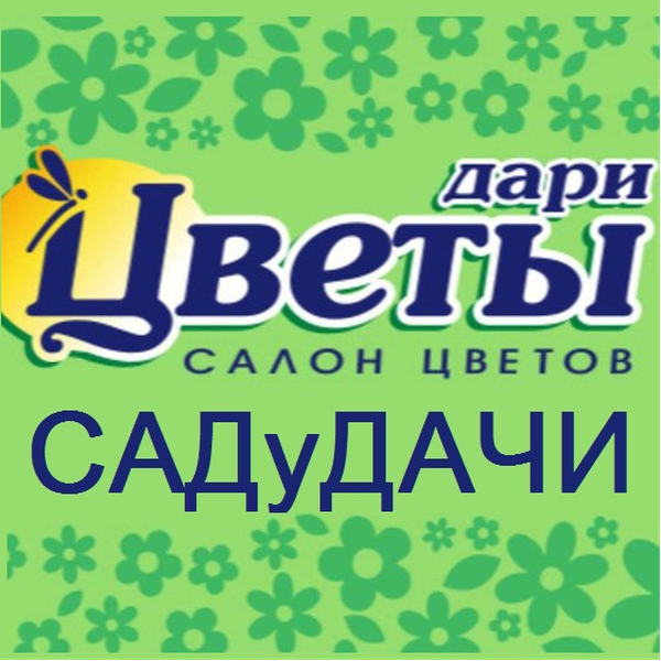 Закажи в компании ДАРИ ЦВЕТЫ & САДуДАЧИ