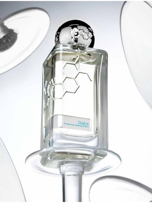 H-006 по мотивам Hormone Paris Gaba  (unisex)