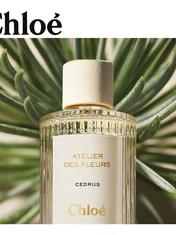 C-025 по мотивам Cedrus Chloé (unisex)