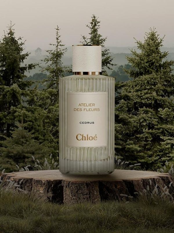 C-025 по мотивам Cedrus Chloé (unisex)