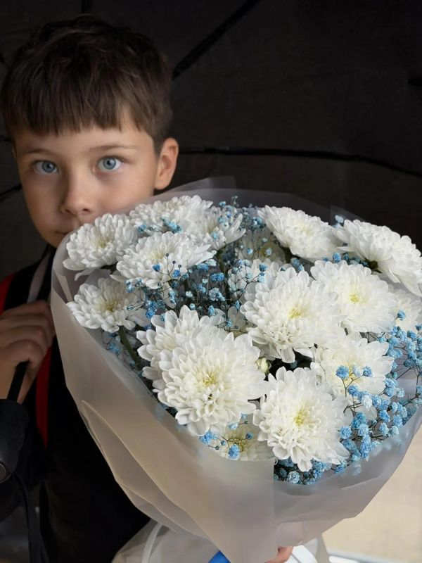 Воздушное облако