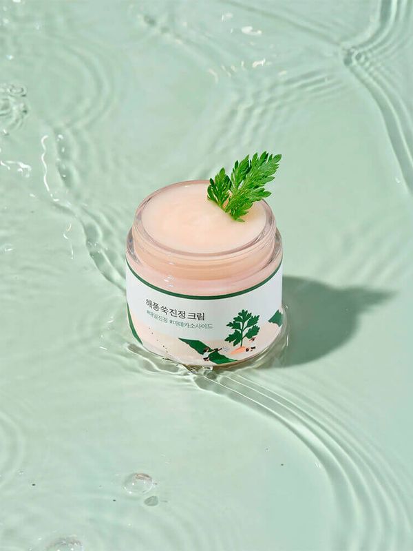 Лёгкий успокаивающий крем с полынью Round Lab Mugwort Calming Cream 80 мл