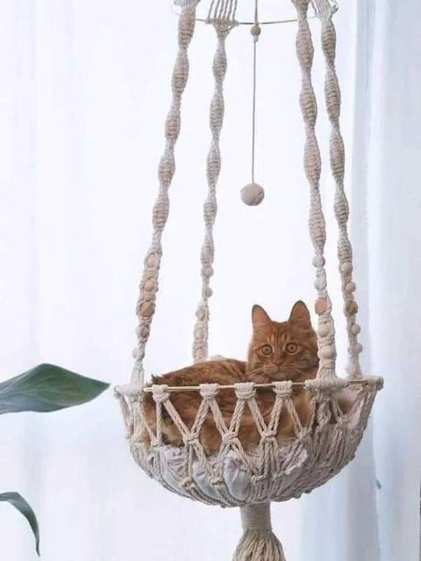 Хлопковый шпагат  Premium  бордо 4 мм