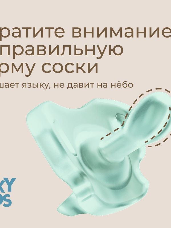 ROXY-KIDS Соска-пустышка цельносиликоновая мятная в стерилизаторе 2 шт (0-6мес) UDS