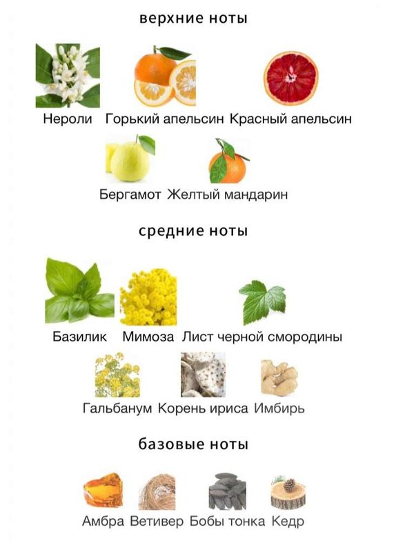 Orlov Good Vibes для женщин Парфюмерная вода
