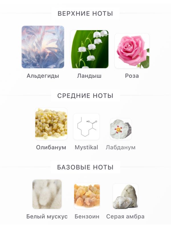 Amouage Existence унисекс Парфюмерная вода