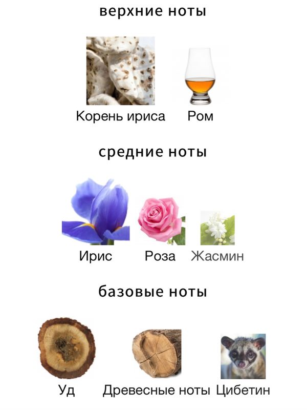 Amouage The Library Collection Opus V унисекс Парфюмерная вода
