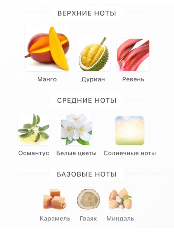 BORNTOSTANDOUT Gold Juice унисекс Парфюмерная вода