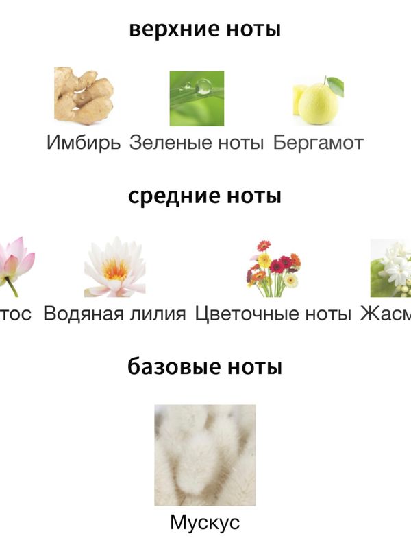 Ramon Molvizar Musk Oriental Goldskin для женщин Парфюмерная вода