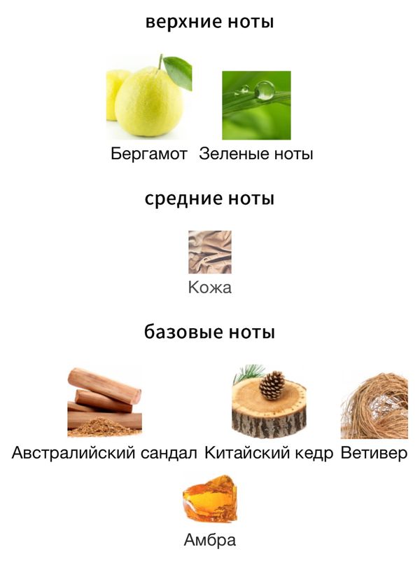 Chloe Cedrus Intense унисекс Парфюмерная вода