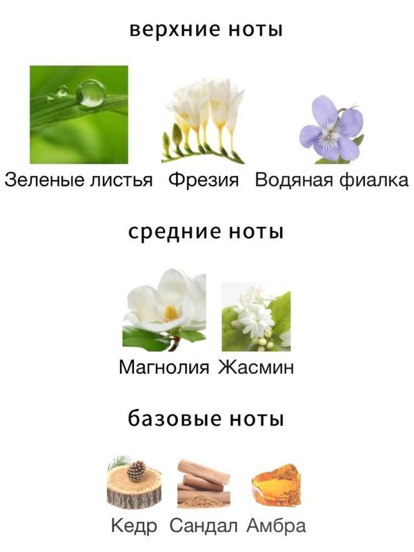 Amouage Reflection Woman для женщин Парфюмерная вода
