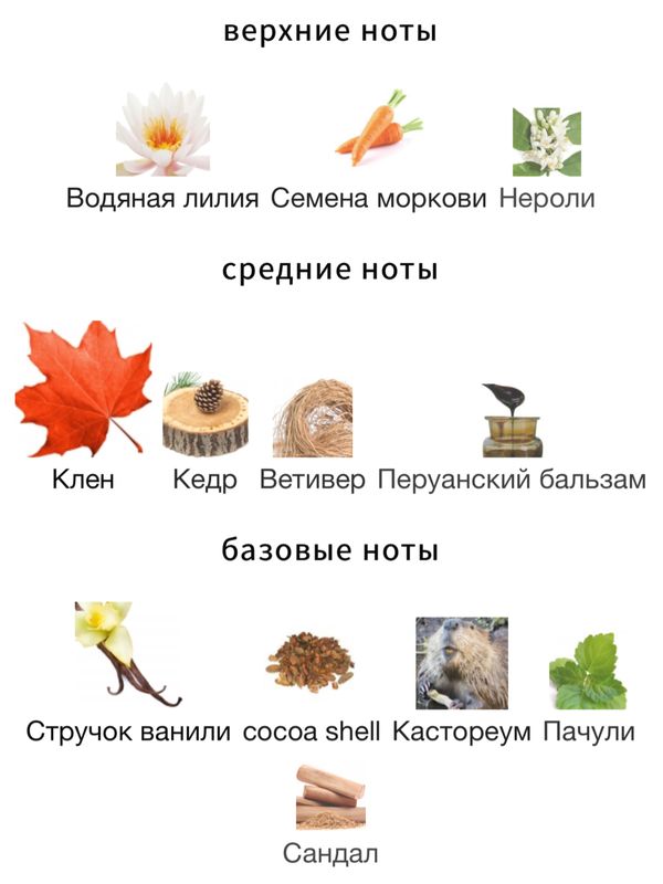 Zoologist Perfumes Beaver Maple Edition унисекс Парфюмерная вода