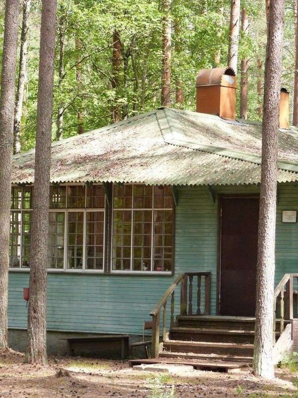 Волшебные тайны русского языка и тайные коды мировой культуры (Комарово)