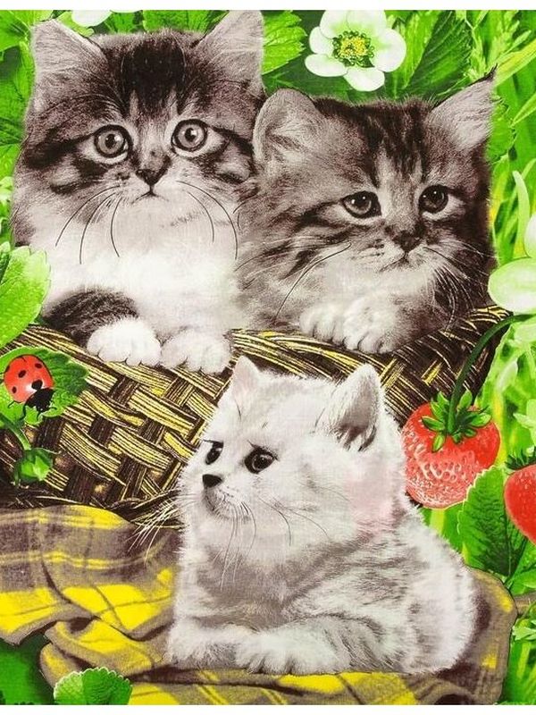 Комплект постельного белья