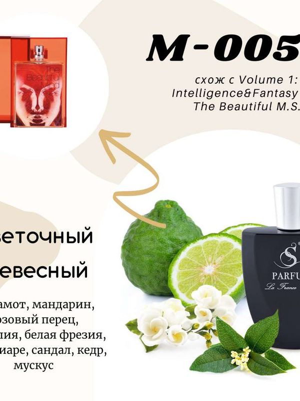 М-5 "IMAGINATION" unisex схож с Intelligence&Fantasy The Beautiful Mind Series