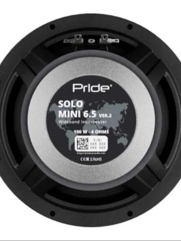 Динамики Pride Solo Mini 6.5 ver. 2 среднечастотные RMS 100W