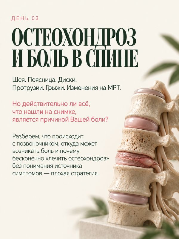 СУСТАВЫ И ПОЗВОНОЧНИК