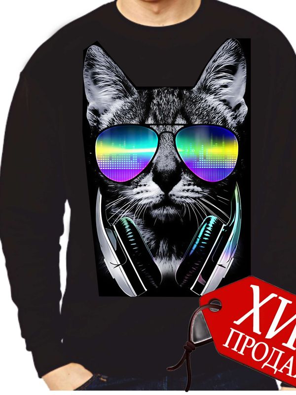 Крутой кот (Кот DJ)