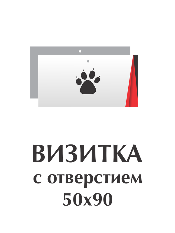 Визитки